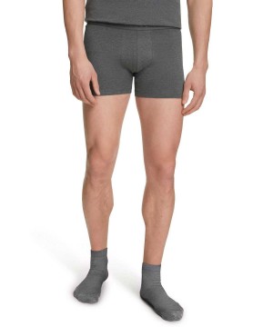 Grey Falke 2-Pack Boxer Daily Comfort Men Boxer & Slips | 592-AFGLJR