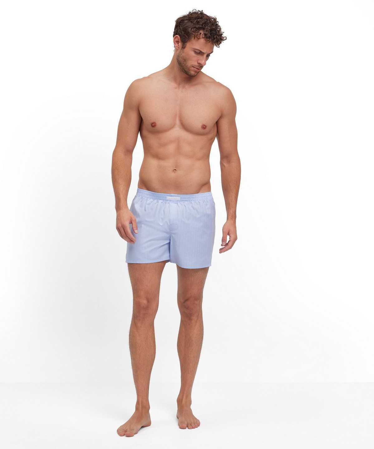 Blue Falke Boxer Men Boxer & Slips | 738-XHRNCV