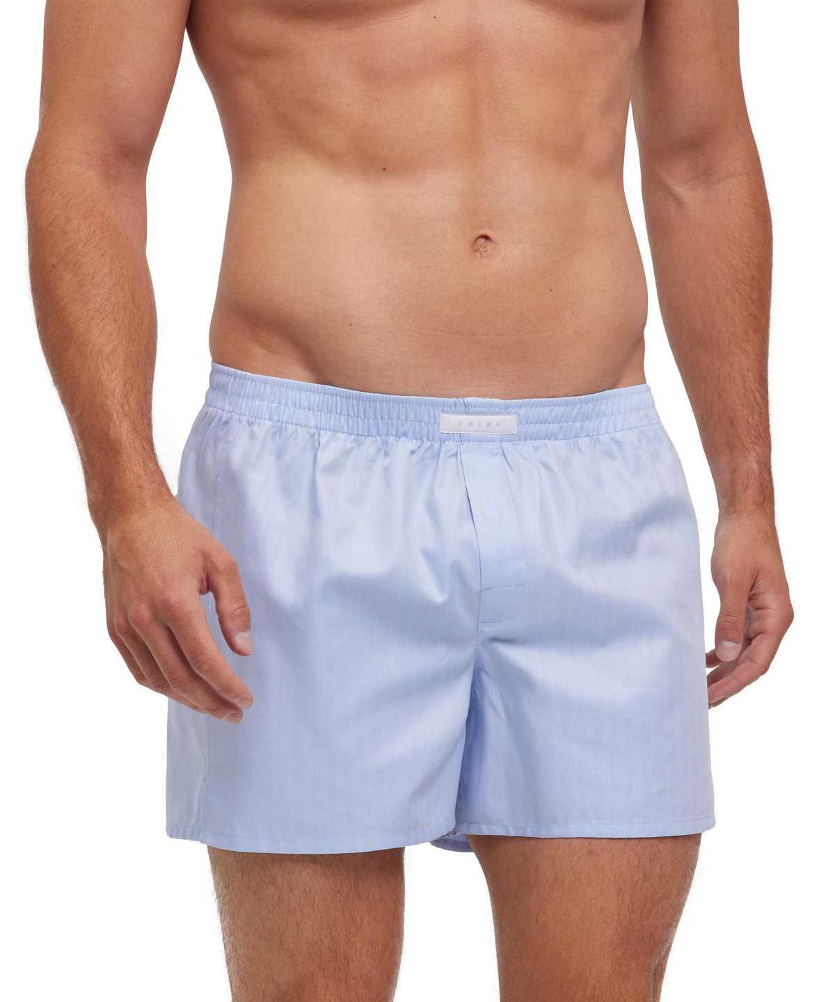 Blue Falke Boxer Men Boxer & Slips | 738-XHRNCV