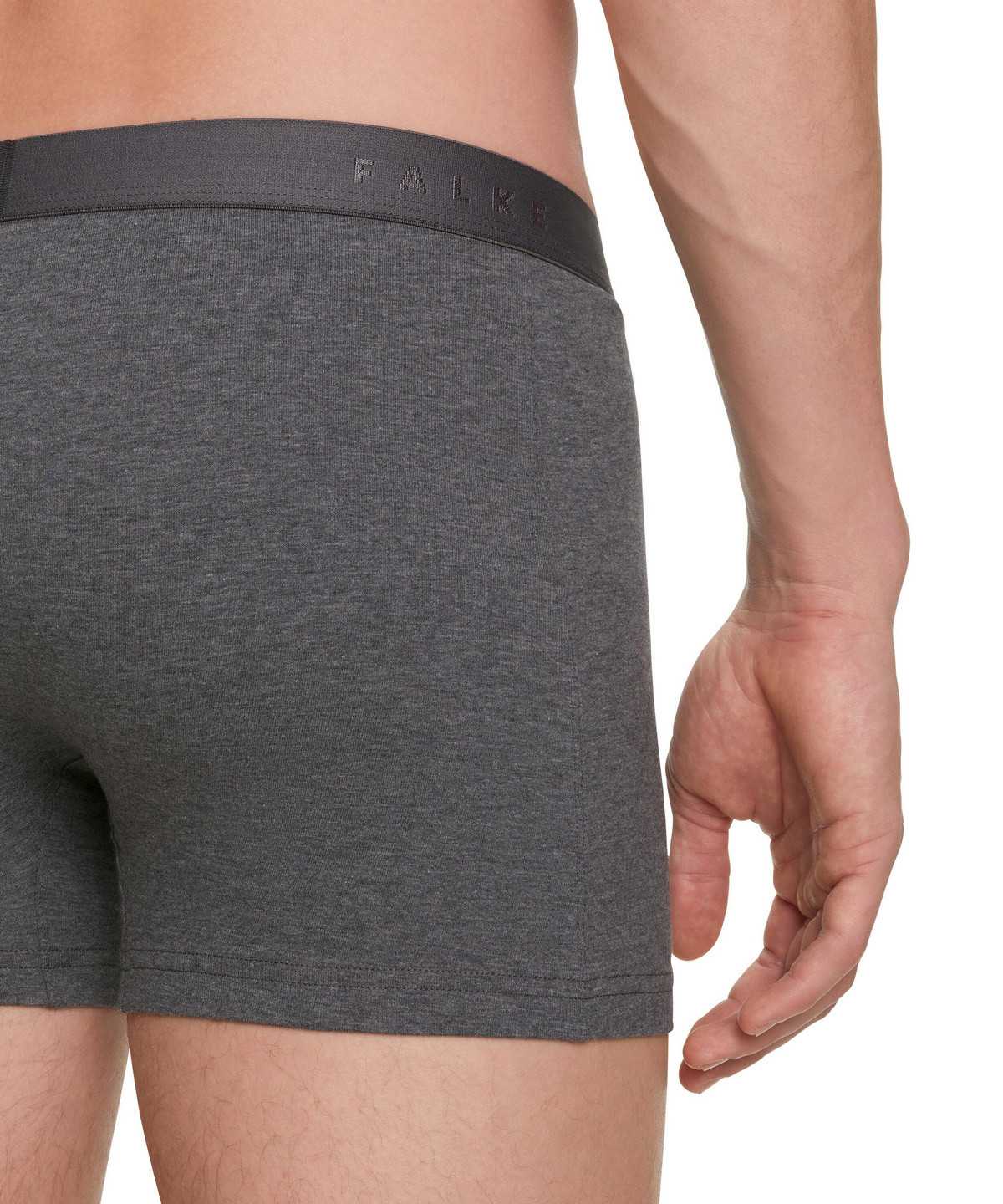 Grey Falke 2-Pack Boxer Daily Comfort Men Boxer & Slips | 592-AFGLJR