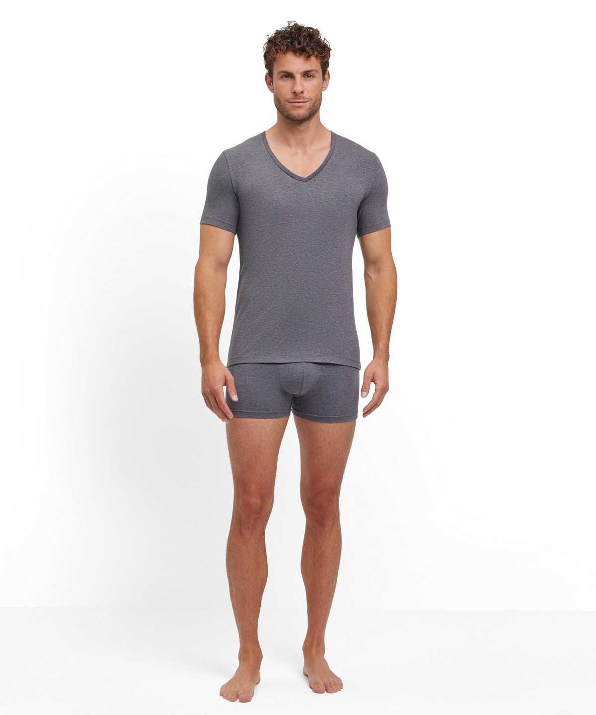 Grey Falke 2-Pack T-Shirt V-neck Daily Comfort Men Short Sleeve Shirts | 083-WKLMDX