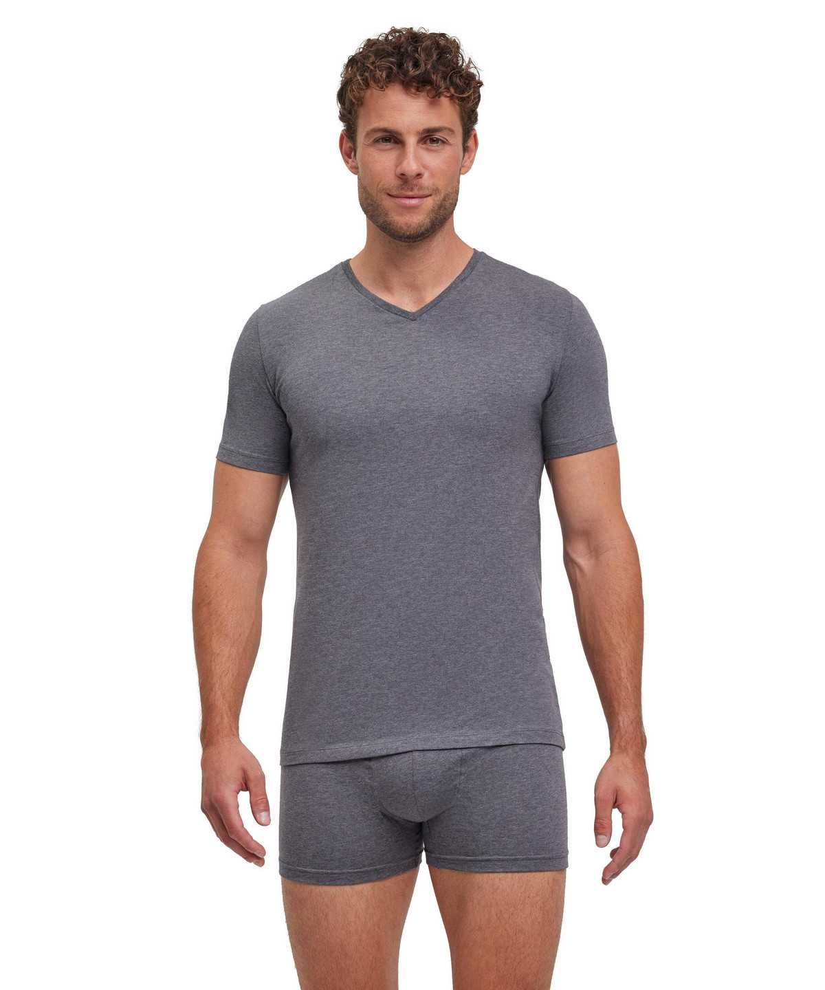 Grey Falke 2-Pack T-Shirt V-neck Daily Comfort Men Short Sleeve Shirts | 623-JWFOYD