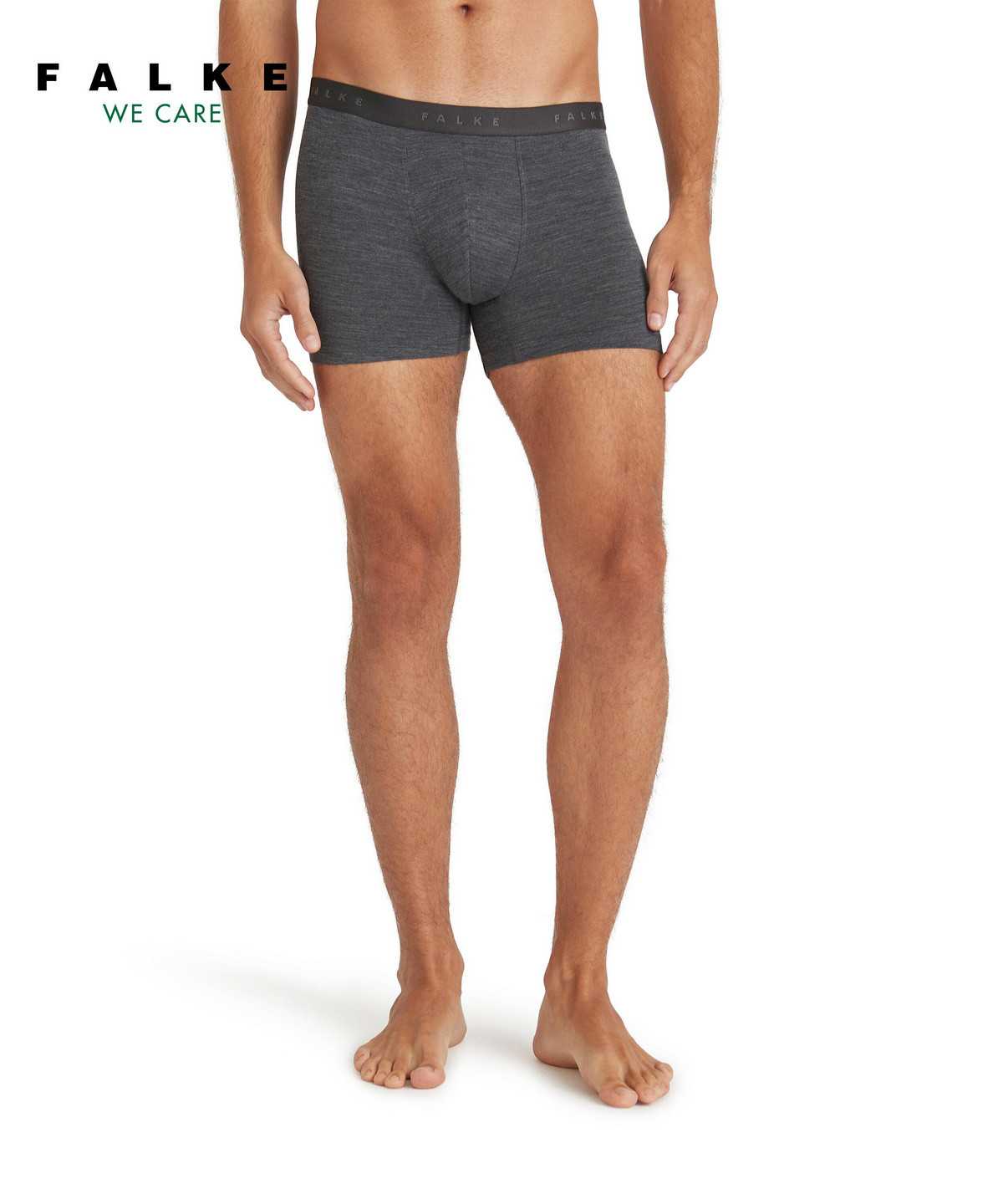 Grey Falke Boxer Daily ClimaWool Men Boxer & Slips | 105-QAELYP